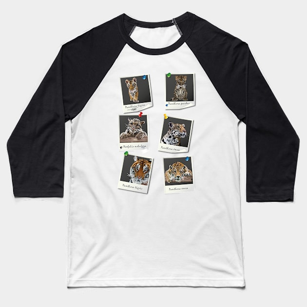 felines Baseball T-Shirt by obscurite